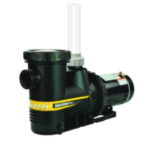 Magnum Force Pump For Inground Pools (Various Horse Powers)